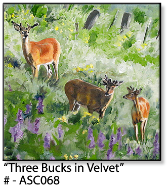 ASC068 "Three Bucks in Velvet" ceramic coaster