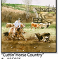 ASC075 "Cuttin' Horse Country" ceramic coaster
