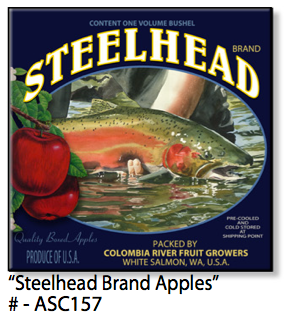 ASC157 "Steelhead Brand Apples" ceramic coaster
