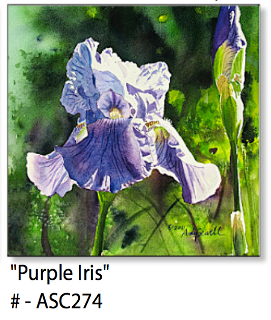 ASC274 "Purple Iris" ceramic coaster