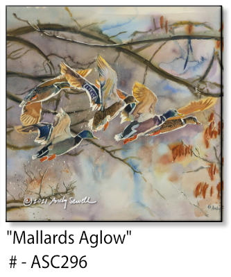 ASC296 "Mallard Aglow" ceramic coaster