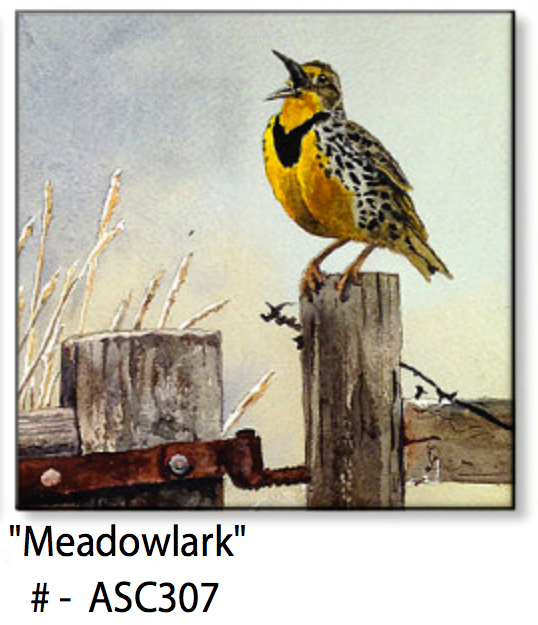 ASC307 "meadowlark" ceramic coaster