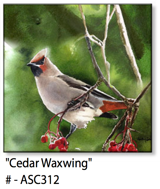 ASC312 "Cedar Waxwing" ceramic coaster