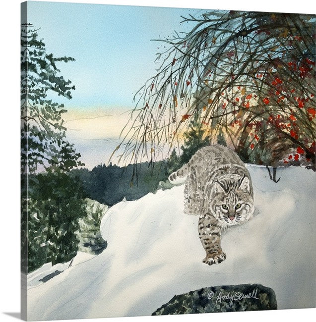 "Winter Bobcat" - 14x22, signed Giclée reprod. from a watercolor