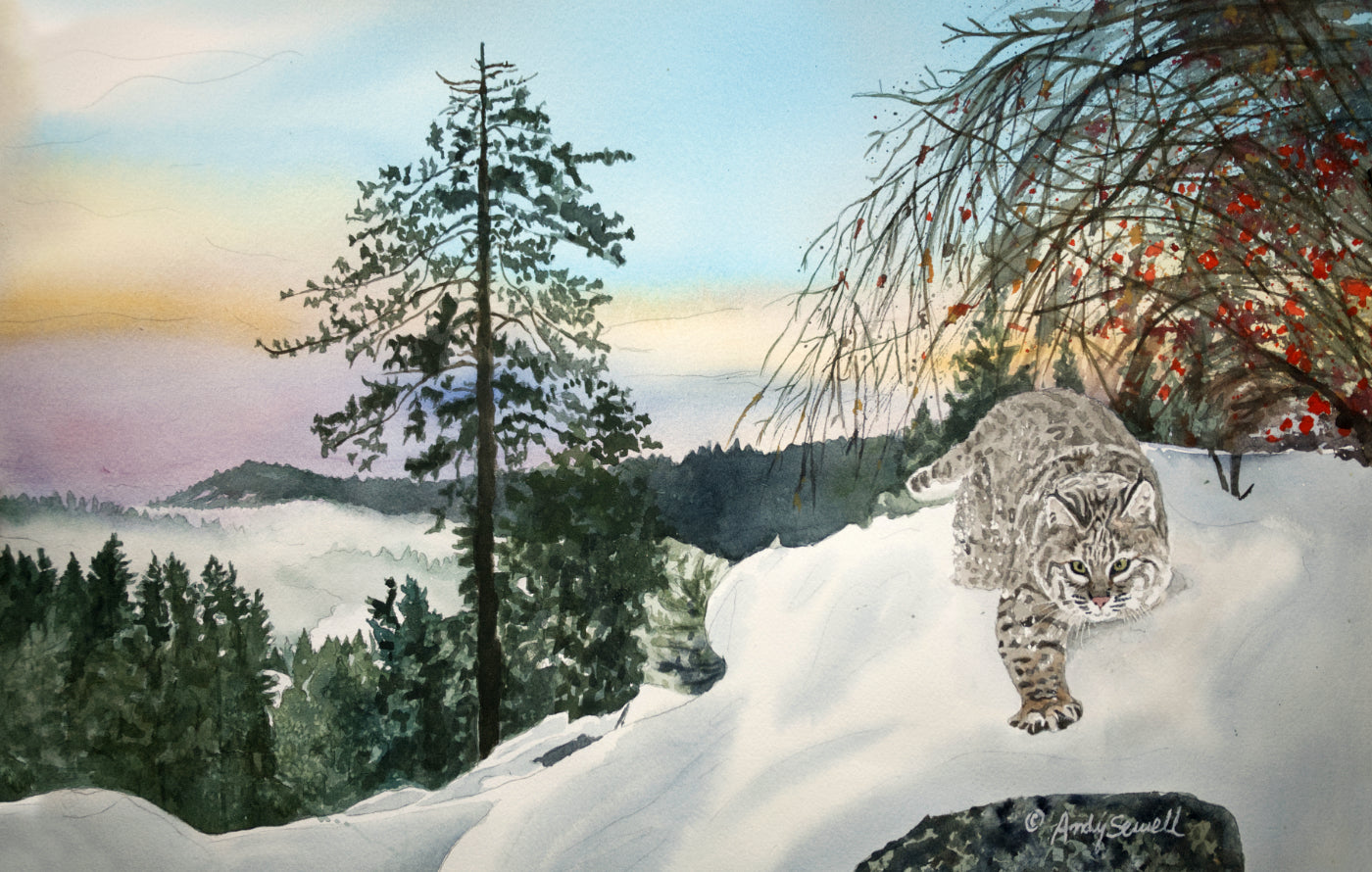 "Winter Bobcat" - 14x22, signed Giclée reprod. from a watercolor