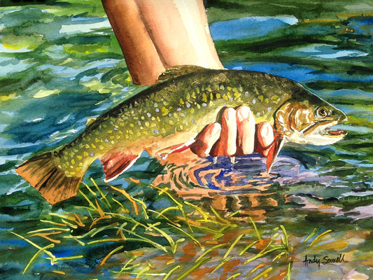 "Brookie Release" Original watercolor or ltd. ed. s/n Giclee Reprod. of Brook trout being released