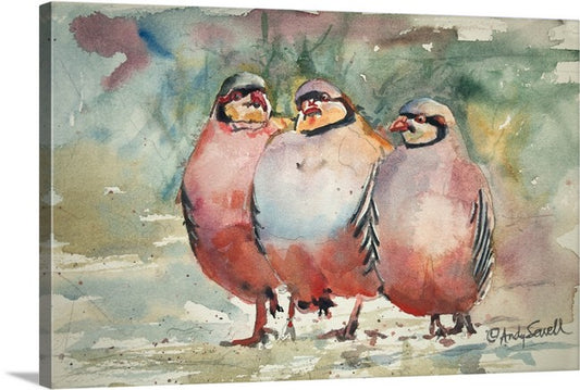 "Chukar Dance" - A watercolor giclee print of 3 chukars strutting in the sun - by Andy Sewell