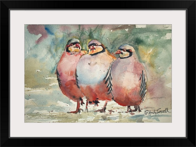 "Chukar Dance" - A watercolor giclee print of 3 chukars strutting in the sun - by Andy Sewell