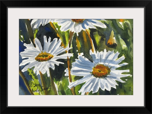 "Daisy Trio" - a signed edition giclee art print from an original watercolor of daisies in the sunshine