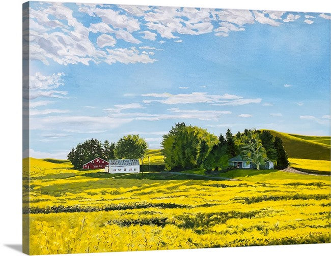 "Canola Springtime" - a ltd. edition Giclee reprod. from an oil painting of the palouse country landscape in canola bloom