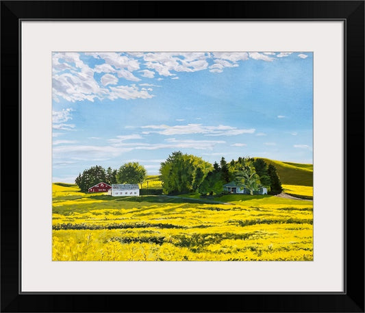 "Canola Springtime" - a ltd. edition Giclee reprod. from an oil painting of the palouse country landscape in canola bloom