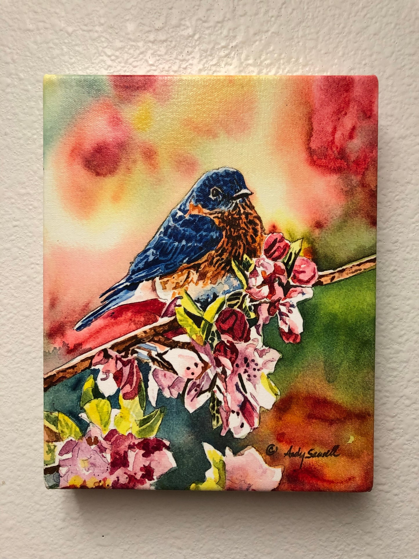 "Bluebird in the Blossoms" - Original watercolor painting, or paper or canvas Giclée art print of a Western Bluebird in the blossoms.