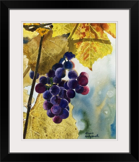 “Colors of the Vineyard” An Original watercolor or a signed Giclee art print of grapes glowing in the sun..