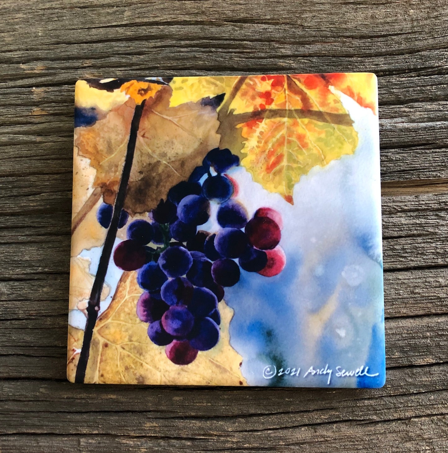 “Colors of the Vineyard” An Original watercolor or a signed Giclee art print of grapes glowing in the sun..