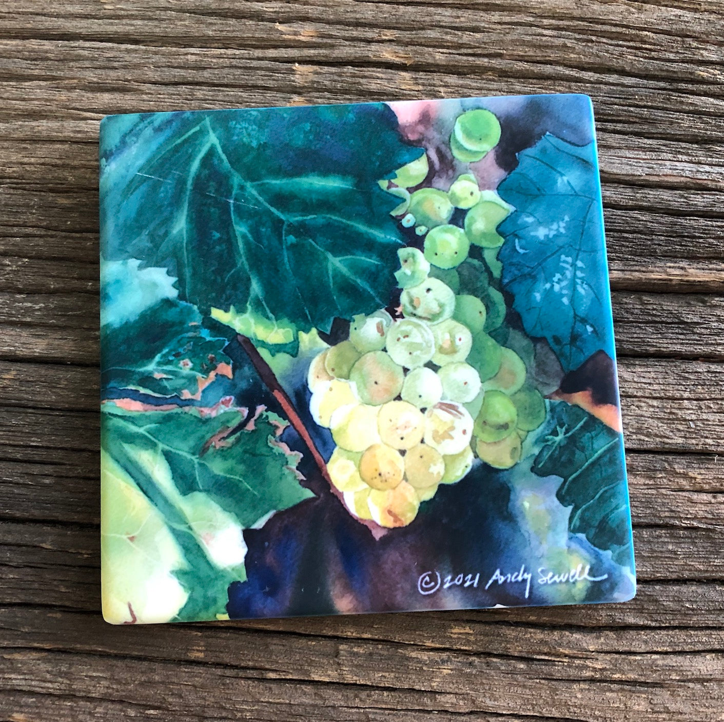 “Glowing Green Grapes” An Original watercolor or a signed Giclee art print of green grapes glowing in the sun.