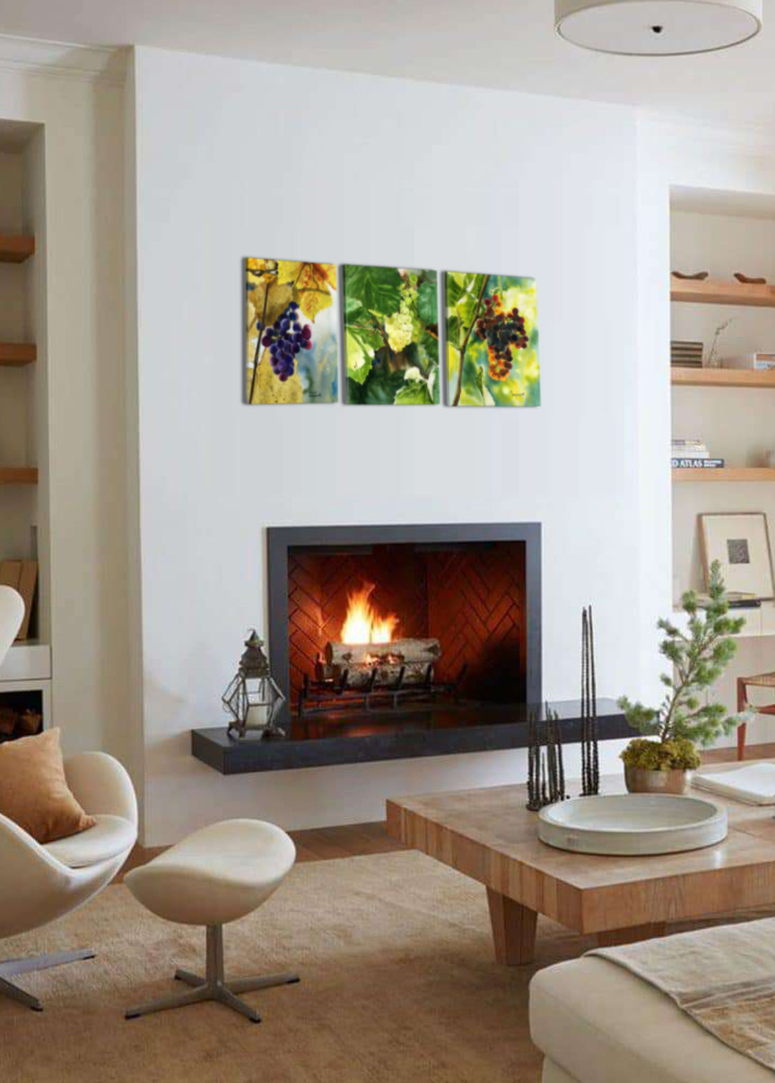 “Red Grapes Glow” An Original watercolor or a signed Giclee art print of grapes glowing in the sun..