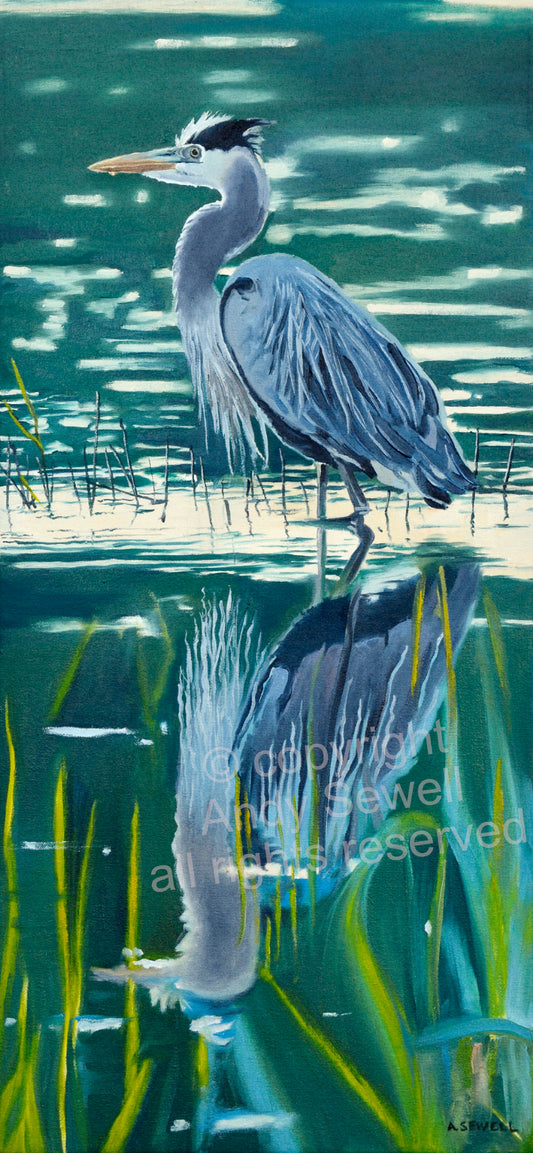 "Heron Reflections" - 11"x22" canvas or paper Giclée art print from an oil painting