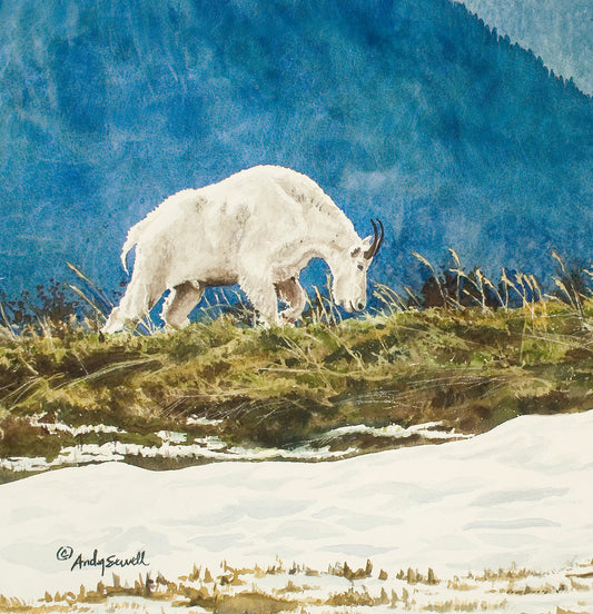 "High Mountain Hiker" (mountain goat in Glacier Nat. Park) 16"x22" Original watercolor painting or signed giclee print