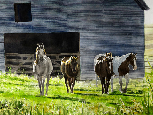 "Horsee Afternoon" - A signed Giclee art print from a watercolor of Horses by the Barn.