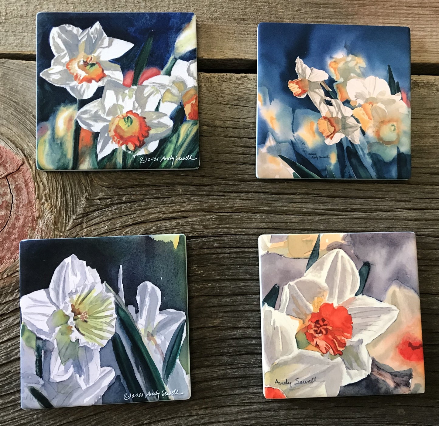 ASC409 "Lone White Daffodil" ceramic coaster