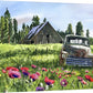 "5 Window June Chevy in the Poppies" Antique Chevy Truck Art Print - a limited edition s/n canvas or paper print from watercolor