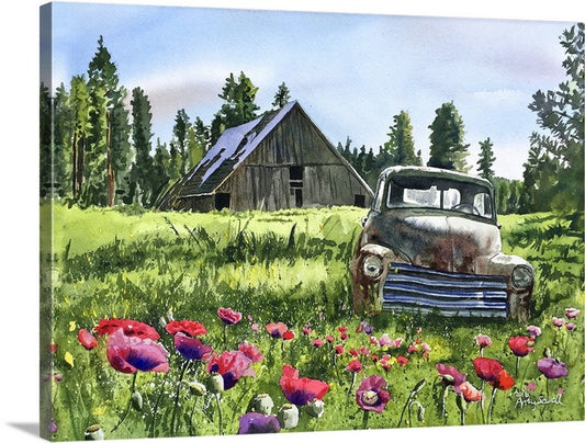 "5 Window June Chevy in the Poppies" Antique Chevy Truck Art Print - a limited edition s/n canvas or paper print from watercolor