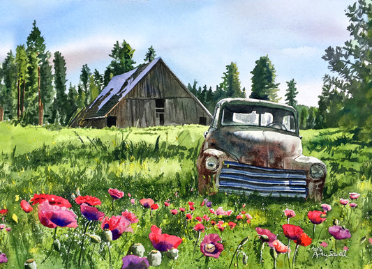 "5 Window June Chevy in the Poppies" Antique Chevy Truck Art Print - a limited edition s/n canvas or paper print from watercolor