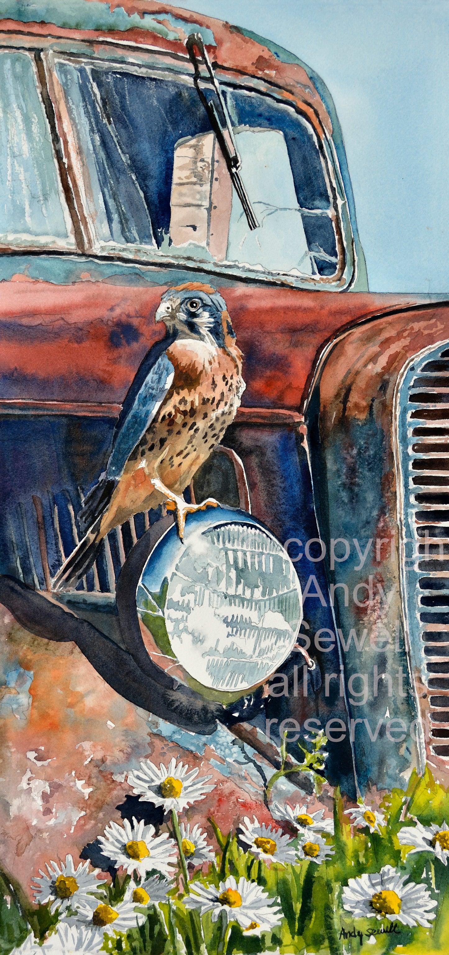 "Kestrel Patina" - 11"x22" canvas or paper Giclée art print from a watercolor