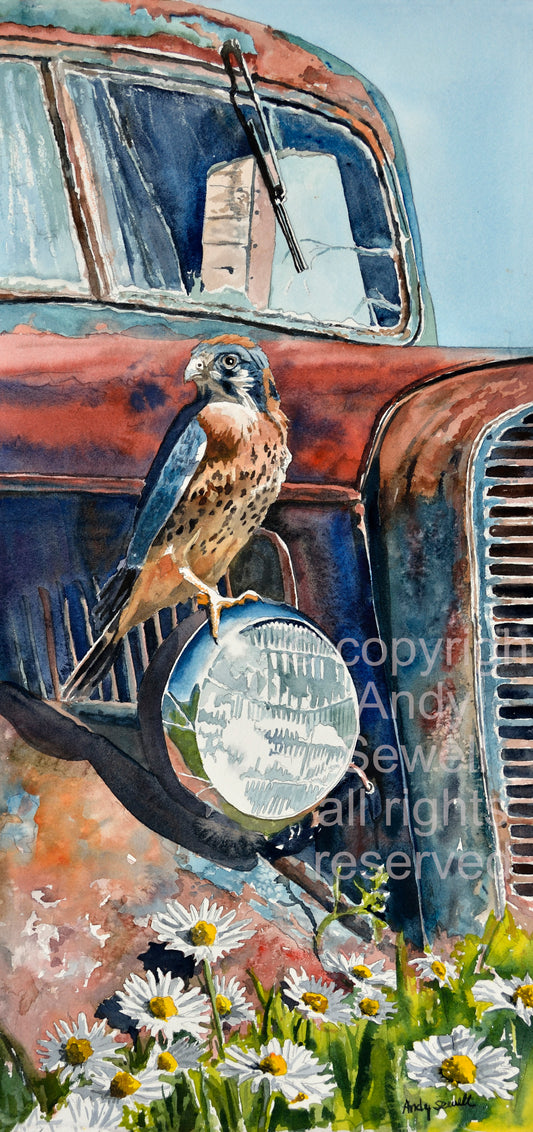 "Kestrel Patina" - 11"x22" canvas or paper Giclée art print from a watercolor