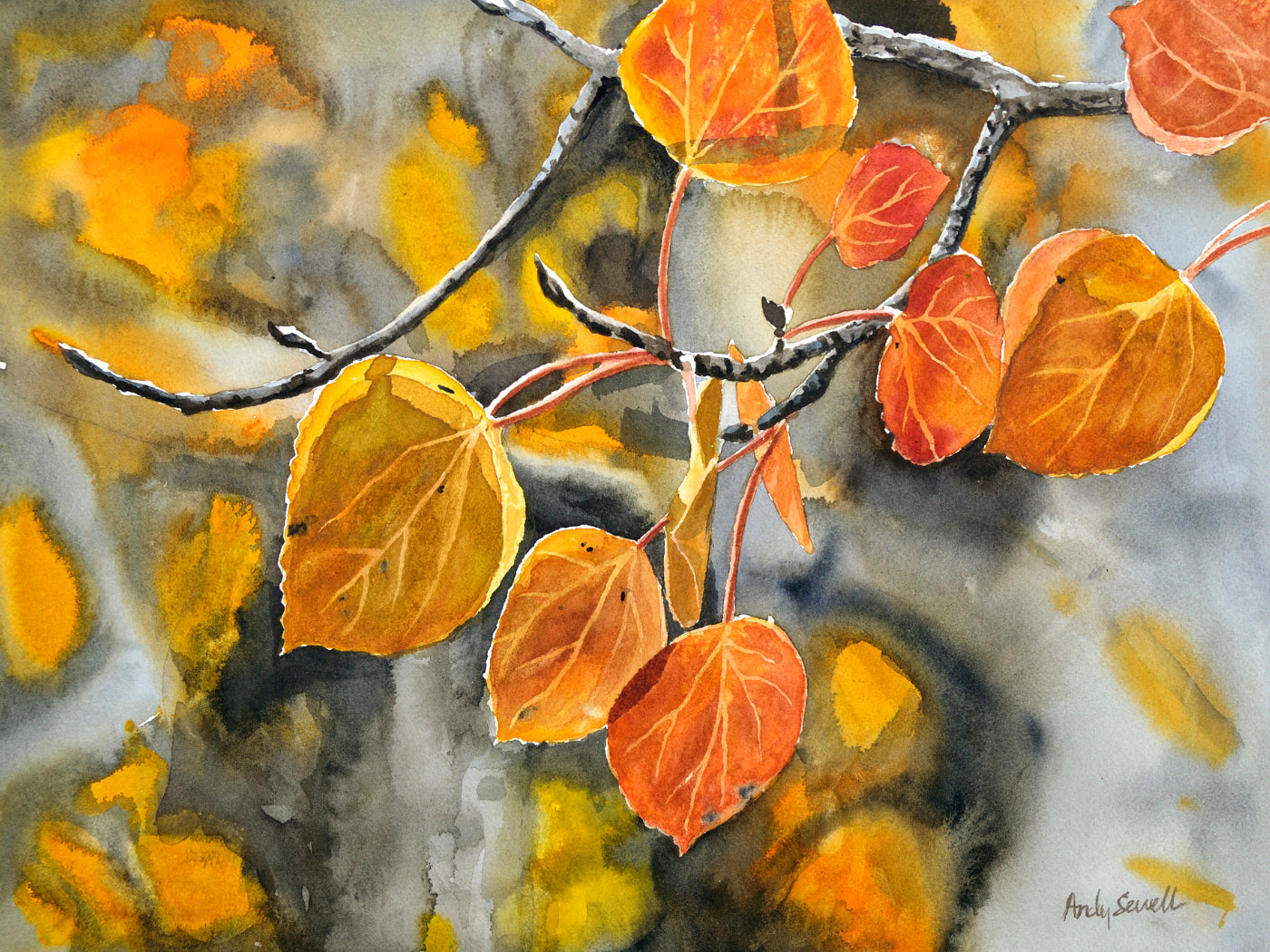 October Orange - 12" x 16" Giclee reprod. from watercolor of fall aspens