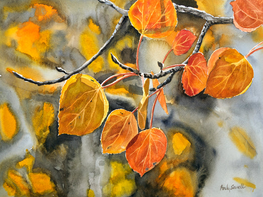 October Orange - 12" x 16"  Giclee reprod. from watercolor of fall aspens