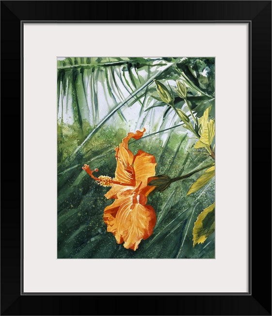 "Orange Hibiscus" 22x30 Original watercolor or giclee print