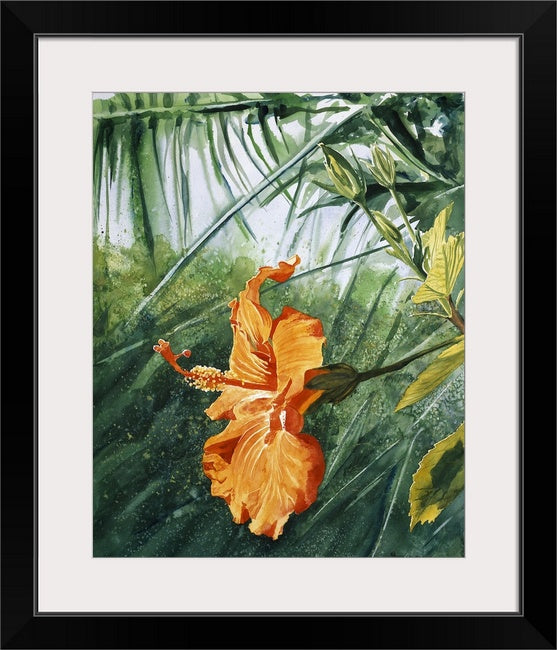 "Orange Hibiscus" 22x30 Original watercolor or giclee print