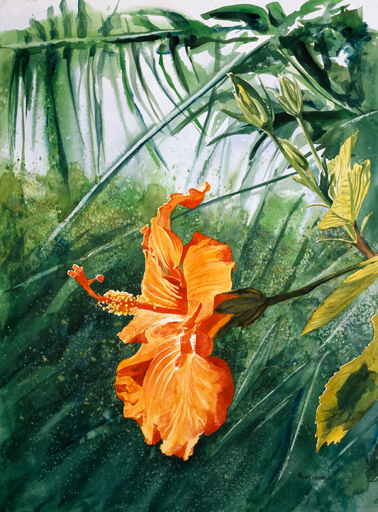 "Orange Hibiscus" 22x30 Original watercolor or giclee print