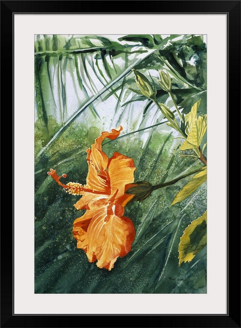 "Orange Hibiscus" 22x30 Original watercolor or giclee print