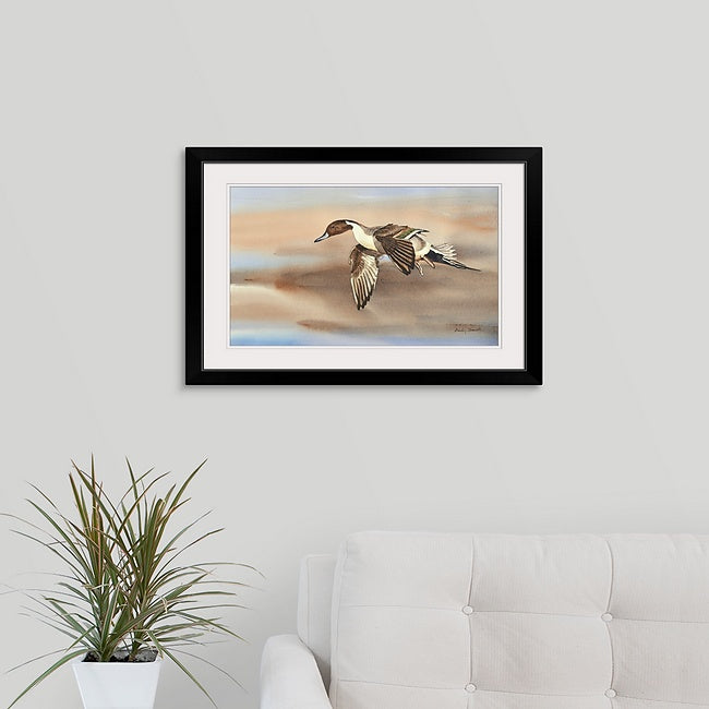 "Pintail in Flight" - An open edition Giclee art print from an Original watercolor