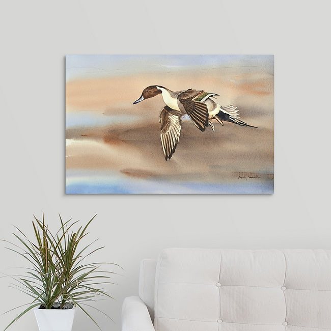"Pintail in Flight" - An open edition Giclee art print from an Original watercolor
