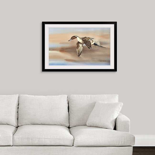 "Pintail in Flight" - An open edition Giclee art print from an Original watercolor