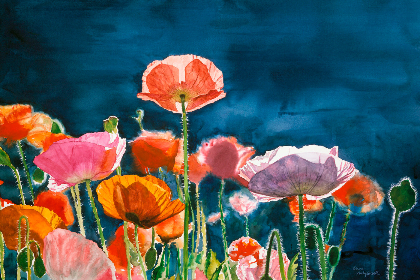 "Poppy Morning" - 24x36" Ltd. Edition, Giclée of Poppies from Original Watercolor by Andy Sewell