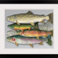 "School Colors" - Paper or canvas Giclée art print of a watercolor of the grand slam of trout!
