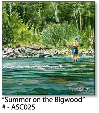 ASC025 "Summer on the Bigwood" ceramic coaster