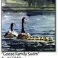 ASC049 "Goose Family Swim" ceramic coaster