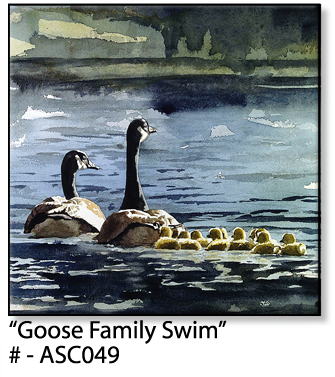 ASC049 "Goose Family Swim" ceramic coaster