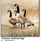 ASC051 "Goose Gathering" ceramic coaster