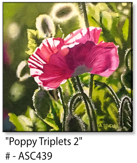 ASC439 "Poppy Triplets 2" ceramic coaster