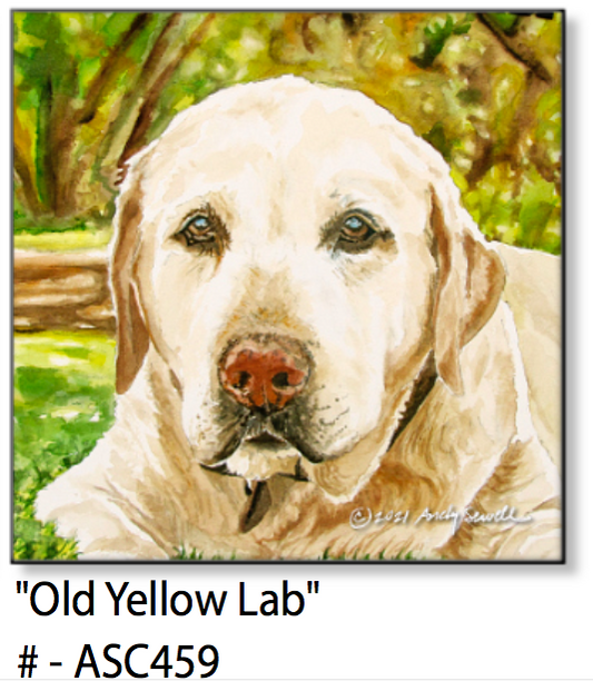 ASC459 "Old Yellow Lab" ceramic coaster