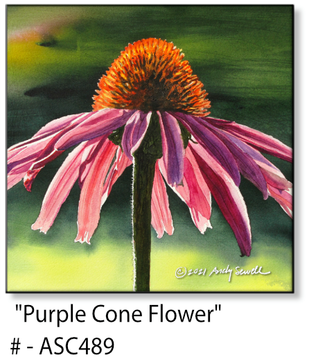 ASC489 "Purple Cone Flower" ceramic coaster