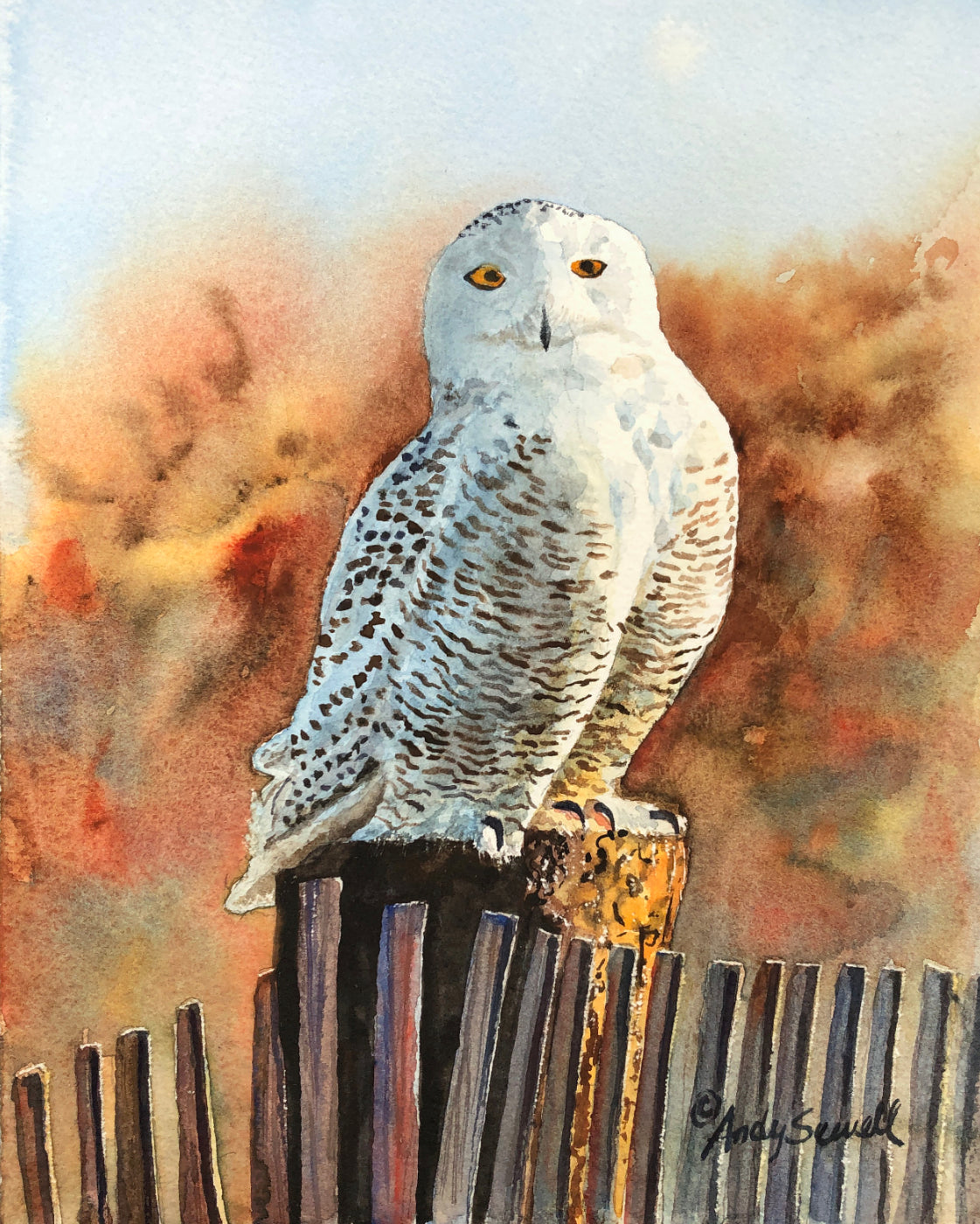 "The Snowy Owl" watercolor giclee reprod. signed ed. print (video course available)