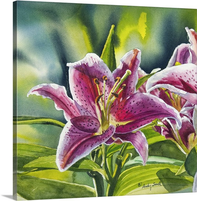 "Stargazer Glory" 12x16 signed edition canvas or paper Giclee Reprod. of a Stargazer Lily