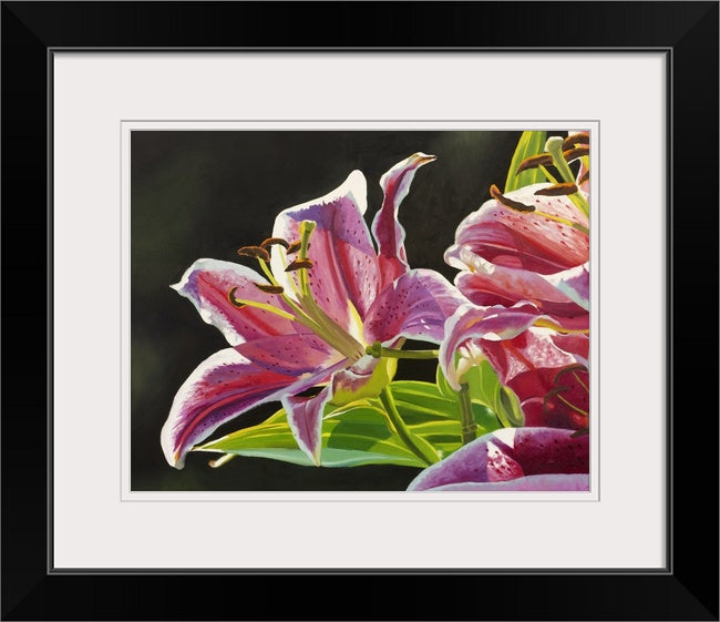 "Stargazer Glow" - 48"x30" Original oil on canvas or Open ed. Giclée of a Stargazer Lily